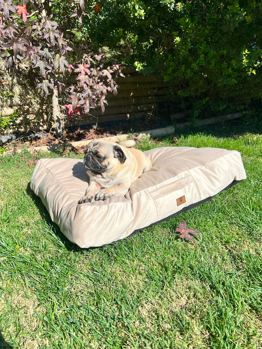 Colchón de mascota Felpa Beige con funda y base impermeable