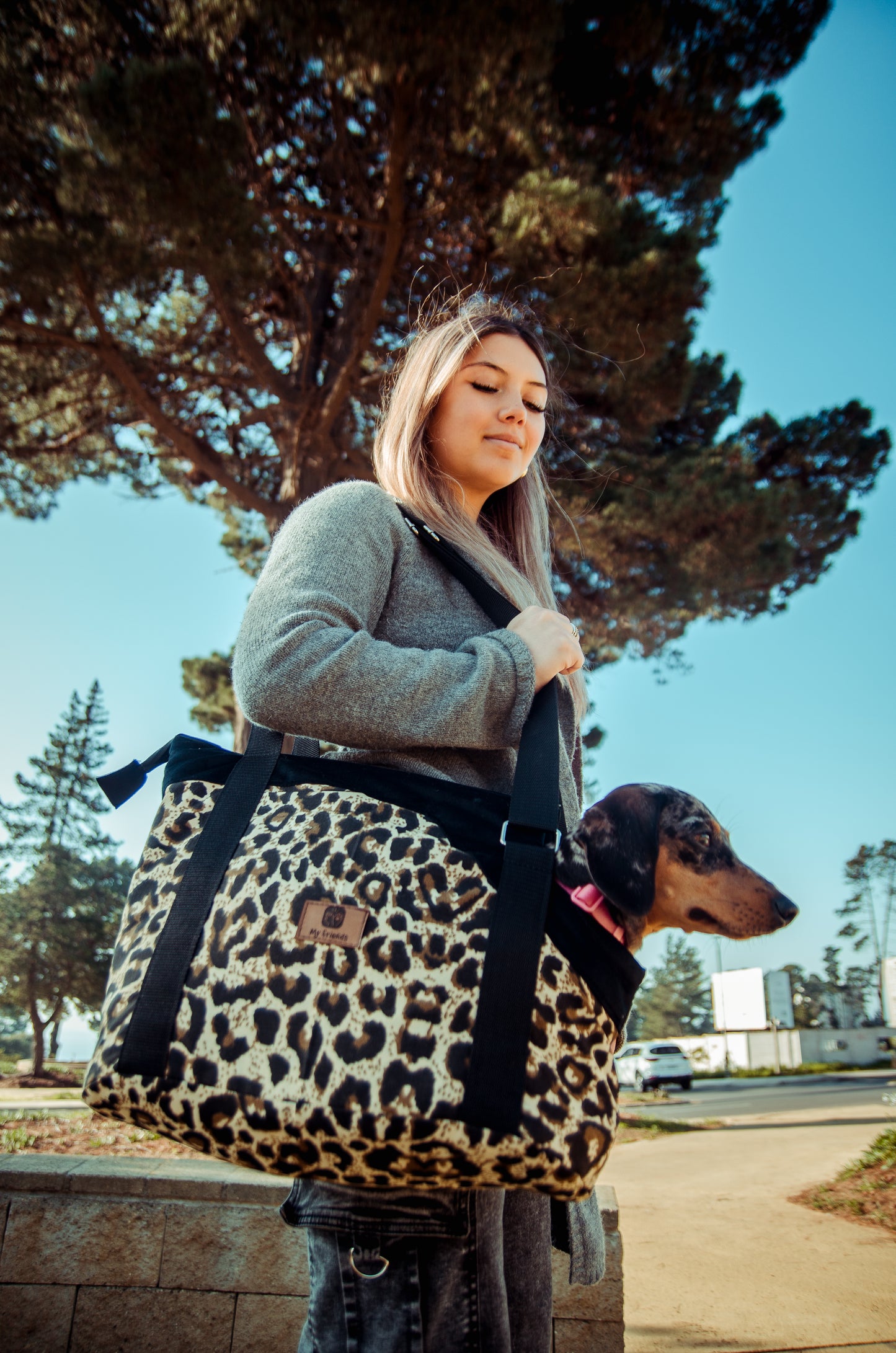 Petbag diseño Animal Print