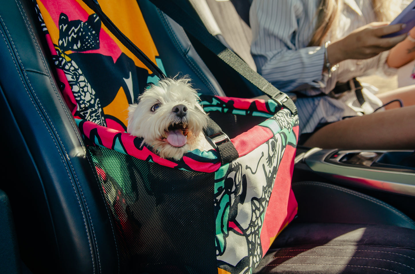 Transportador de mascota modelo Psicodelico