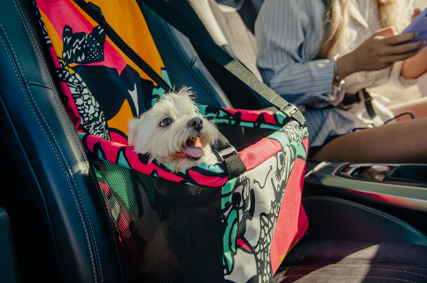 Transportador de mascota modelo Psicodelico